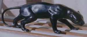 Fosa